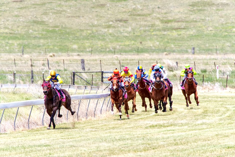 A Day at the Races: Townsville's Horse-Racing Heritage at Cluden Park